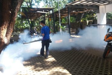 PELAKSANAAN FOGGING UNTUK PENGENDALIAN NYAMUK